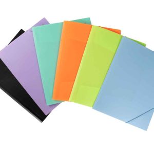 Pasta com elasticos abas polipropileno din A4