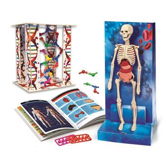 Lab O Corpo Humano - Image 2