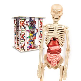 Lab O Corpo Humano - Image 3