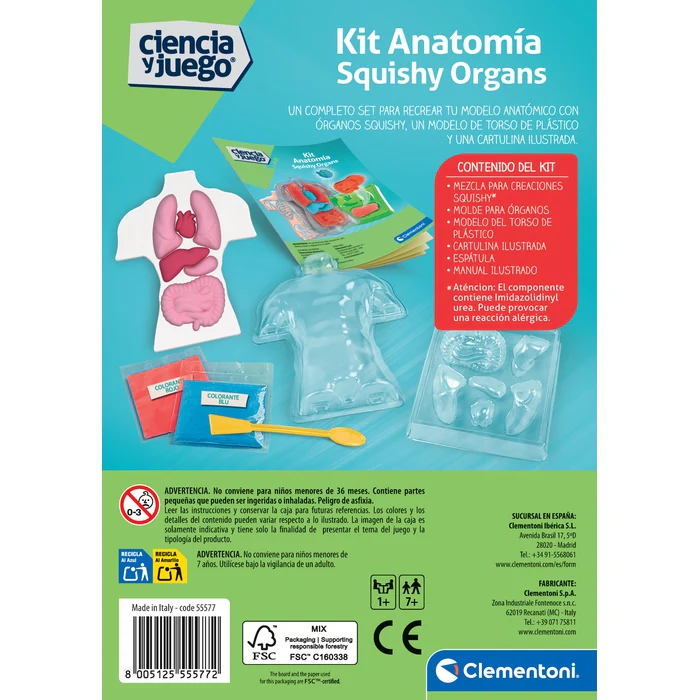 Kit de anatomia de órgãos - Image 2